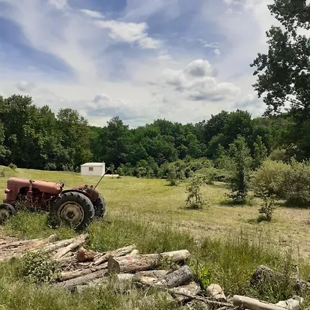 Restyled Bohemian Mobil Carpe Diem