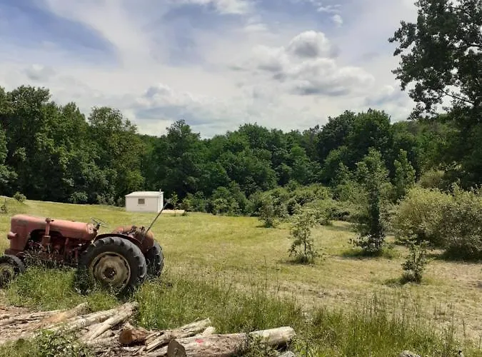 Restyled Bohemian Mobil Carpe Diem